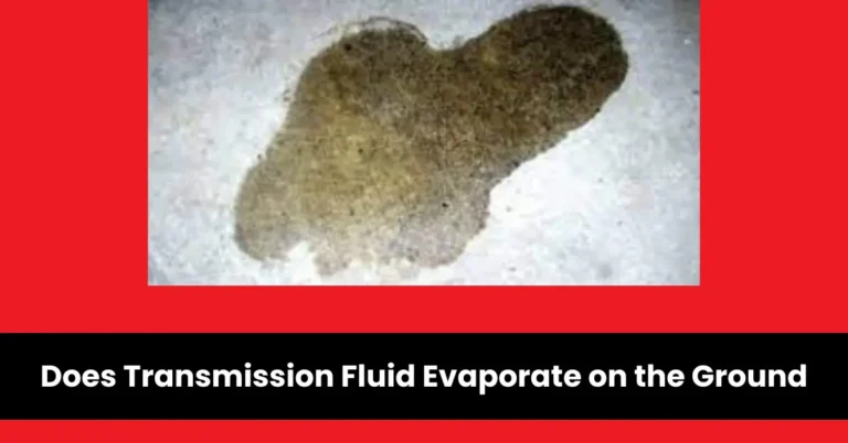 does transmission fluid evaporate on the ground | wheels mansion